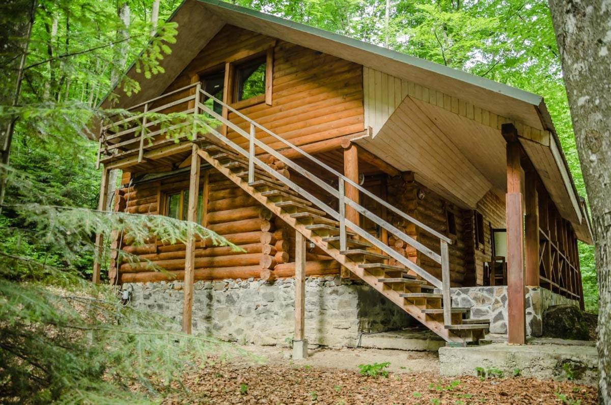 База Відпочинку Шиповець Poroshkovo Exterior foto