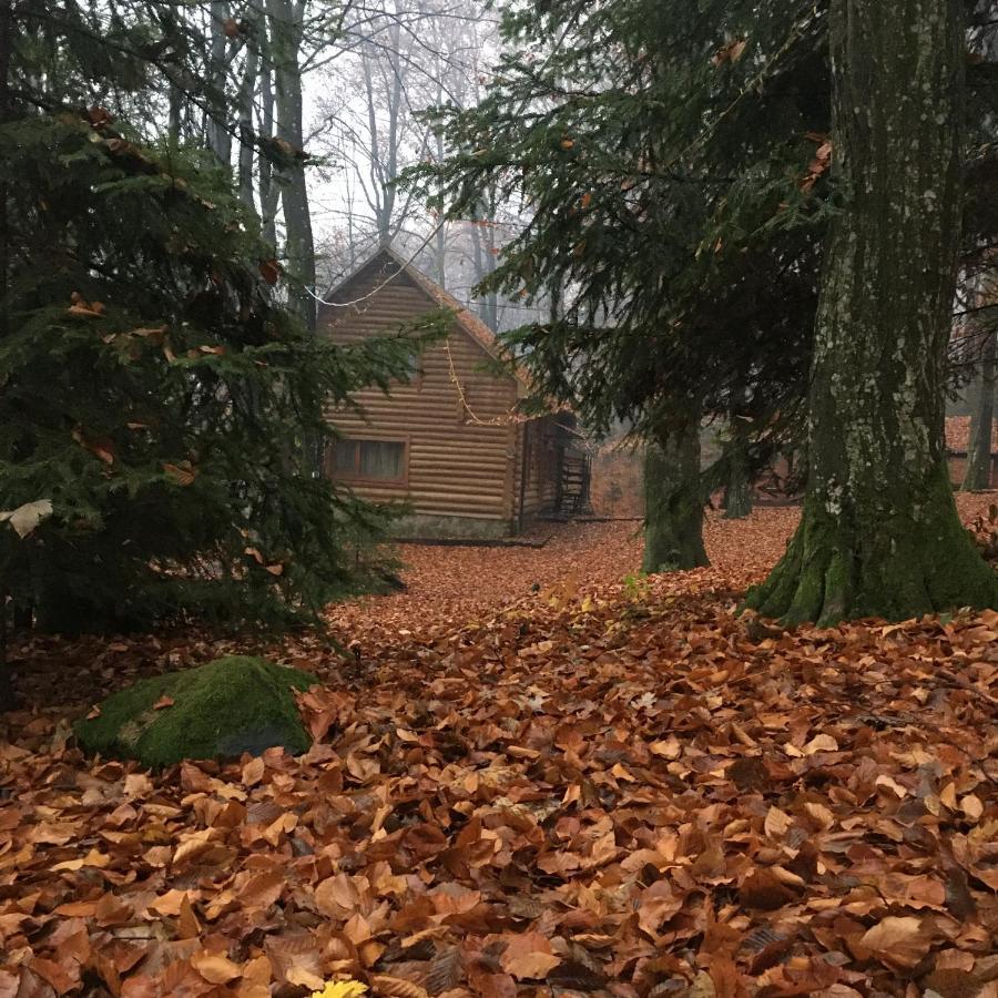 База Відпочинку Шиповець Poroshkovo Exterior foto